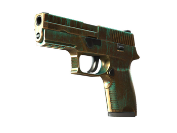 StatTrak™ P250 | Verdigris