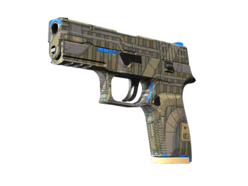 P250 | Exchanger