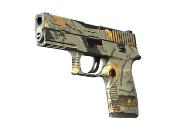 P250 | Modern Hunter
