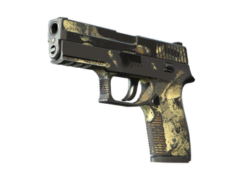 P250 | Contamination