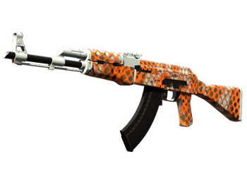 AK-47 | Safety Net