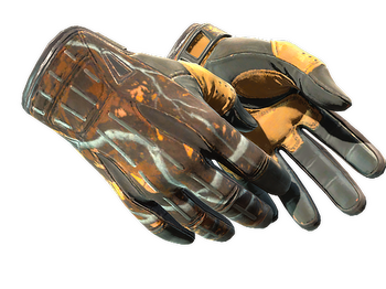 ★ Sport Gloves | Big Game