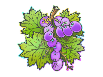 Sticker | From The Vine
