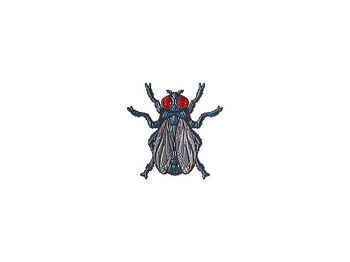 Sticker | Fruit Fly